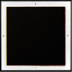 Half Skull - CD Album